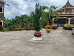 Load image into Gallery viewer, Vacation Villas Runaway Bay 2 Bedroom and 2 1/2 bathroom
