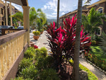 Load image into Gallery viewer, Vacation Villas Runaway 2 Bedroom 2 Bathroom
